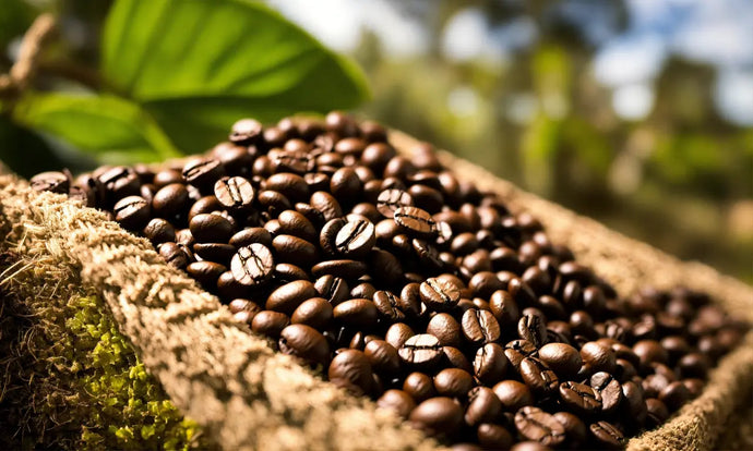 How Roast-to-Order Coffee Can Elevate Your Home Brewing Experience